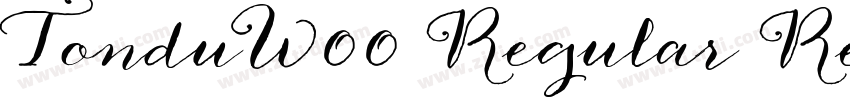 TonduW00 Regular Reg字体转换